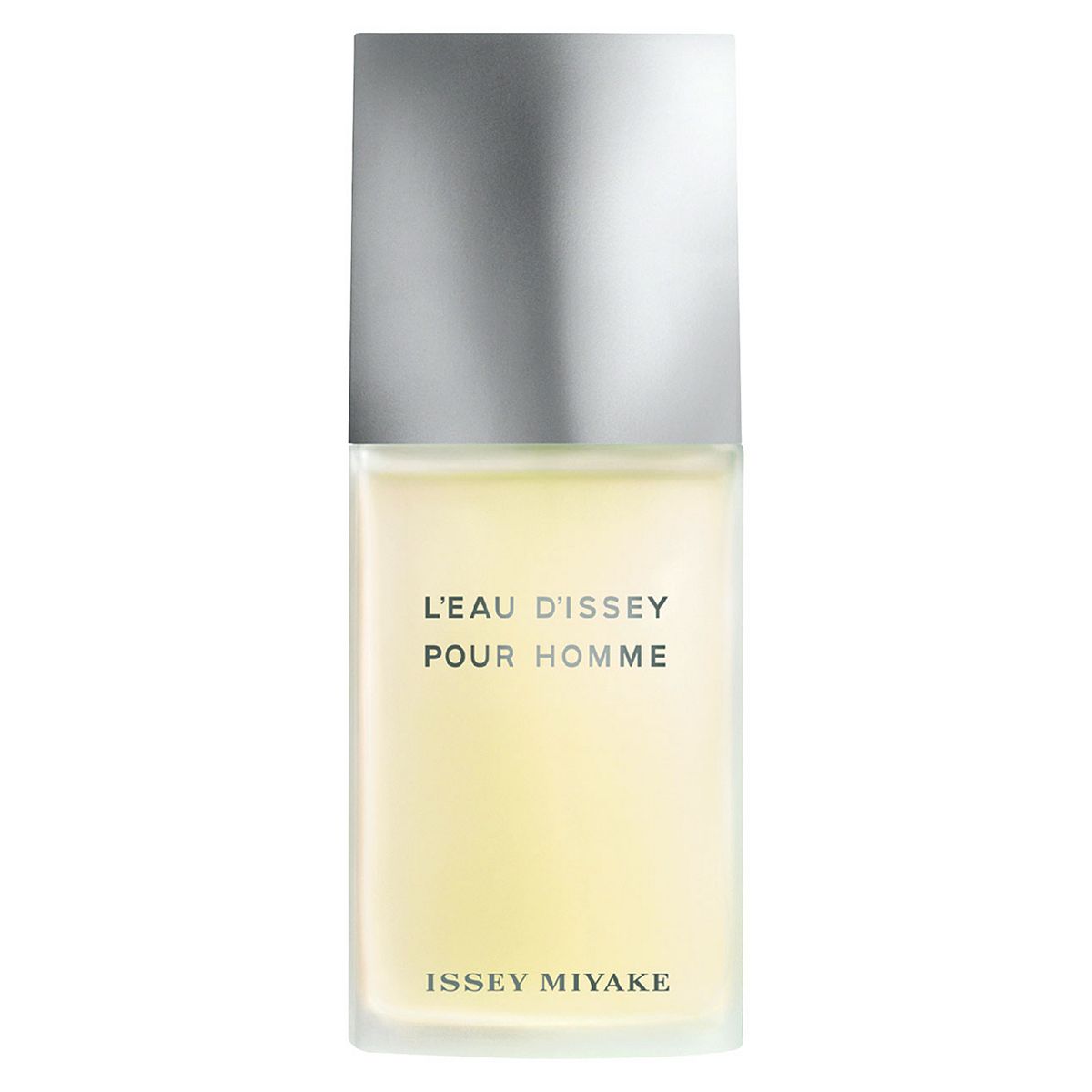 Issey Miyake L'eau D'issey Pour Homme Eau De Toilette 125Ml