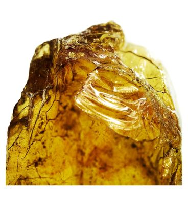 Davidoff Cool Water Man Eau de Toilette 75ml (4)