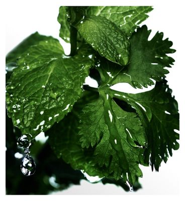 Davidoff Cool Water Man Eau de Toilette 125ml (7)