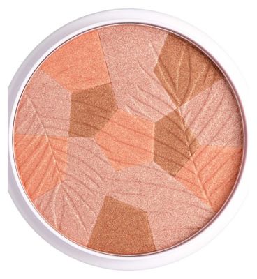 Collection Bronze Glow Mosaic Powder (6)