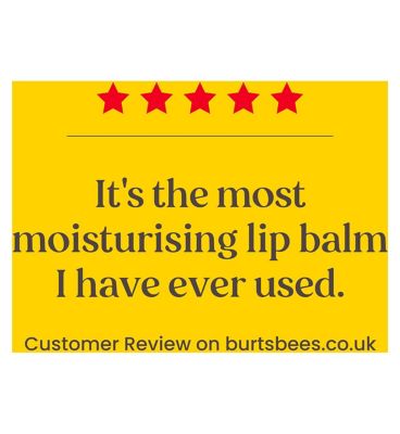 Burt's Bees Beeswax Lip Balm 4.25g (25)