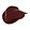 royal plum
