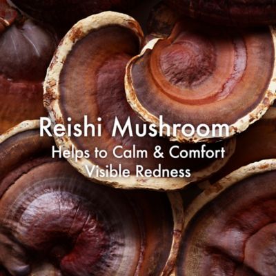 Origins Dr. Weil Mega-Mushroom Skin Relief Micellar Face Cleanser 200ml (20)