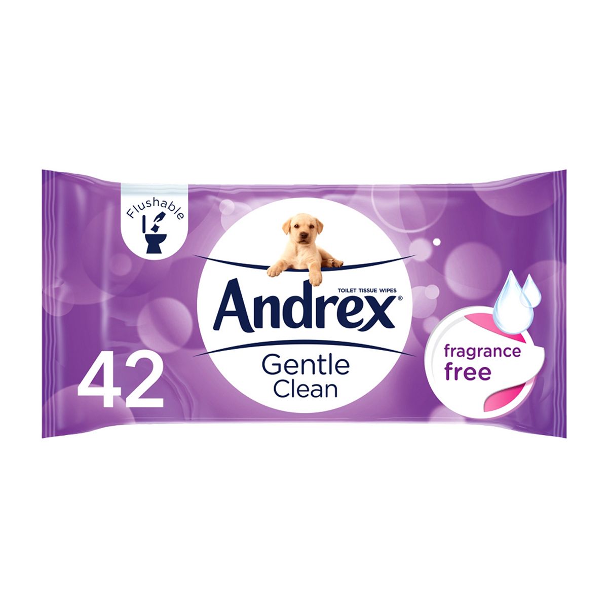Andrex Washlets Gentle Clean 42 Refill Wipes