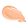Seashell