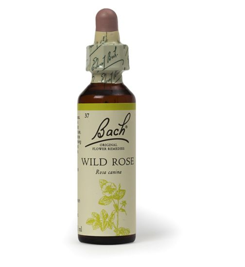 Bach Original Flower Remedy Wild Rose Dropper 20ml – Flower Essence