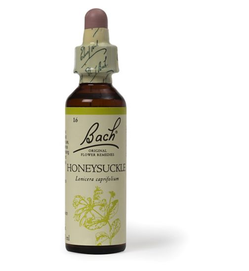 Bach Original Flower Remedy Honeysuckle Dropper 20ml – Flower Essence