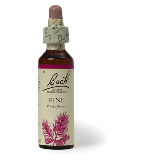 Bach Original Flower Remedy Pine Dropper 20ml – Flower Essence