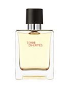 Hermès Terre D'Hermès Eau de Toilette 100ml - Boots