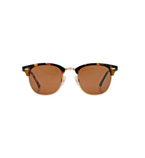 FG&Co sunglasses tortoiseshell & gold FGC004TOR