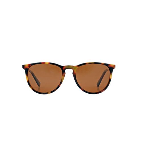 FG&Co sunglasses tortoiseshell & gold FGC001TOR