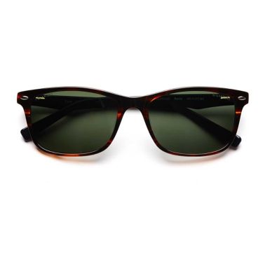 Signature Dylan Sunglasses