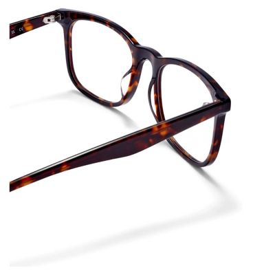 Bailey + Mika Rome image number 3