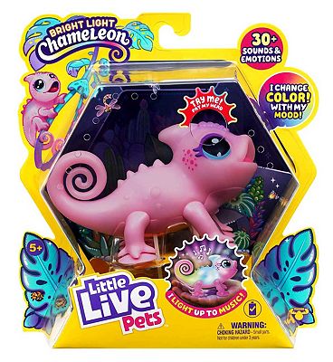 Little Live Pets Lil Chameleon Toy Nova