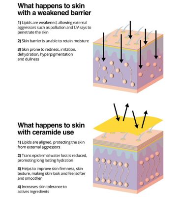 Nip+Fab Ceramide Fix Overnight Cream 12% 50ml (14)