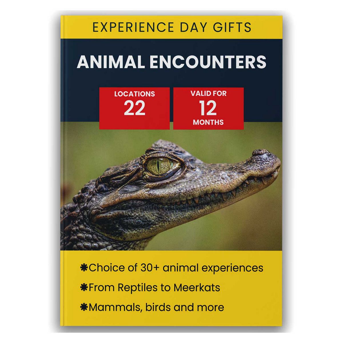 Activity Superstore Animal Encounters Gift Experience