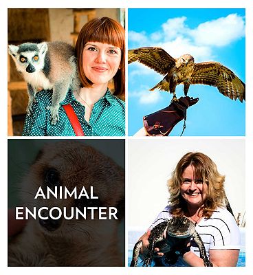 Activity Superstore Animal Encounter Gift Experience