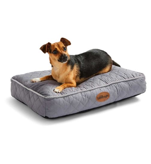 Silentnight Ultrabounce Dog Bed - Grey - Small
