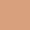 5WN (Warm Neutral Undertone)