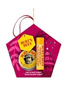 Burt's Bees A Bit of Burt's Gift Set Beeswax