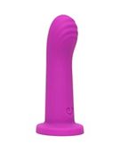 Lovehoney Ignite Non-Realistic Dildo