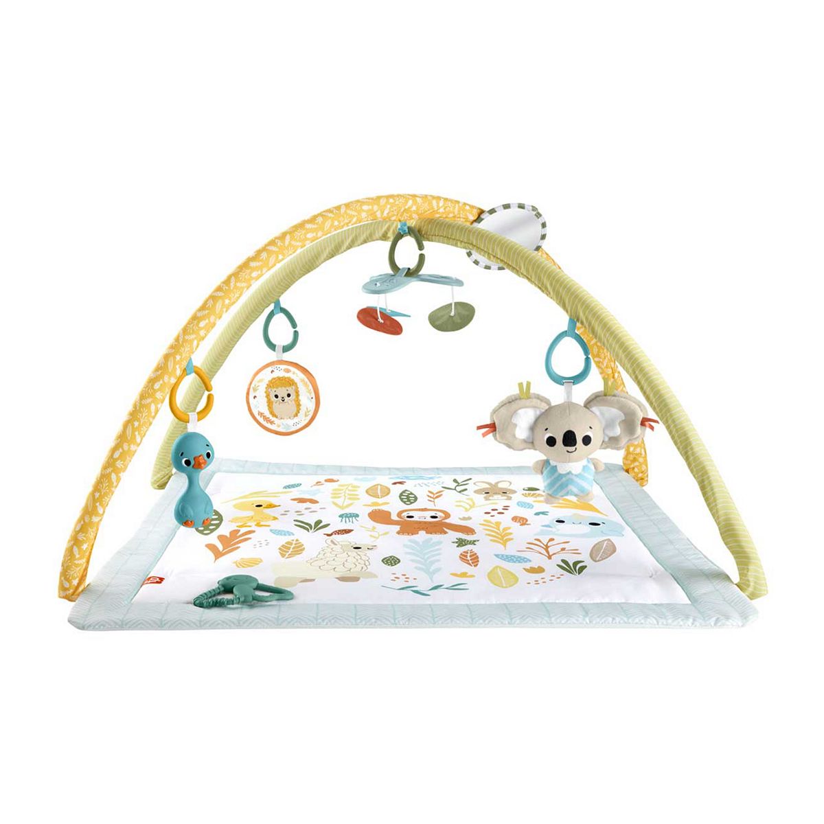 Fisher Price Simply Senses Newborn Gym