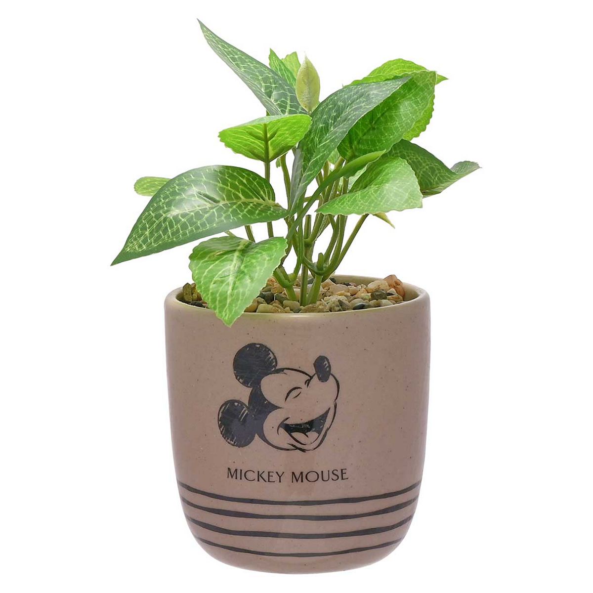 Disney Mickey Planter