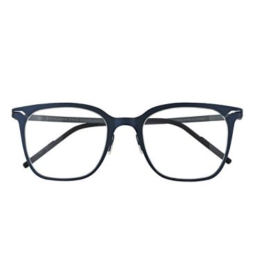 Reykjavik Eyes Larus