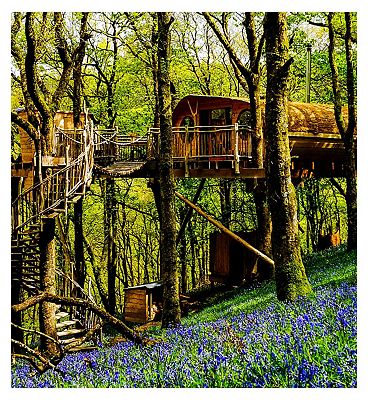 Activity Superstore Two Night Tree House Escape for Two