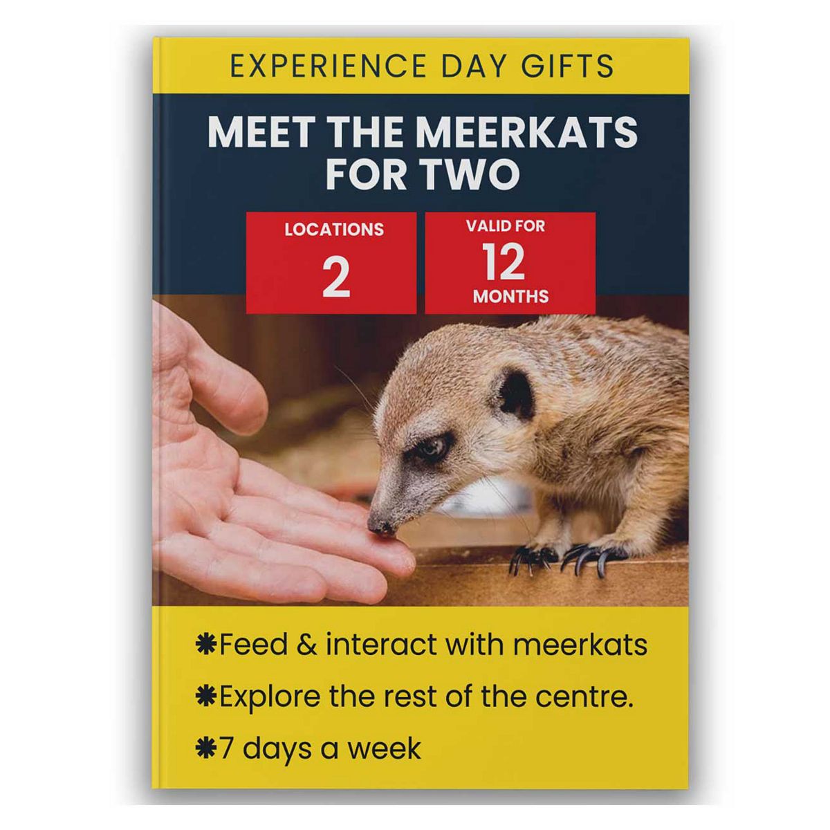 Activity Superstore Meet The Meerkats For Two Gift Experience