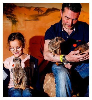 Activity Superstore Meet the Meerkats for Two