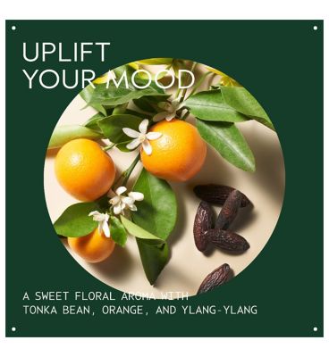 AVEDA Cherry Almond Softening Shampoo 250ml (15)