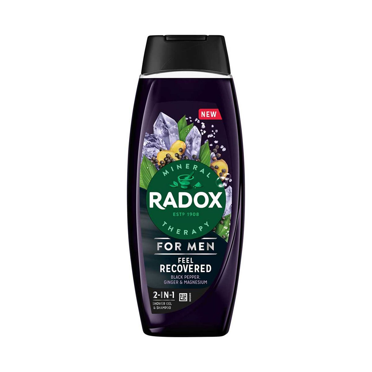 Radox Men Feel Recovered 2-In-1 Shower Gel & Shampoo 450ml