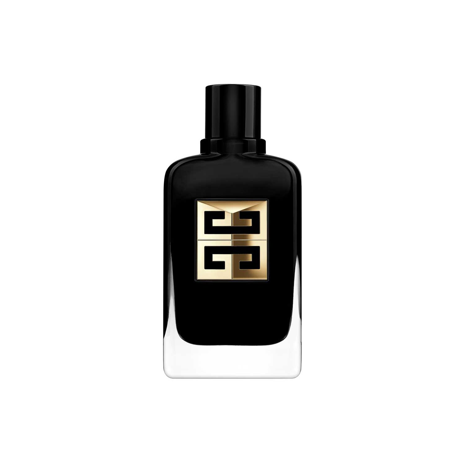 Gentleman Society Ambrée
