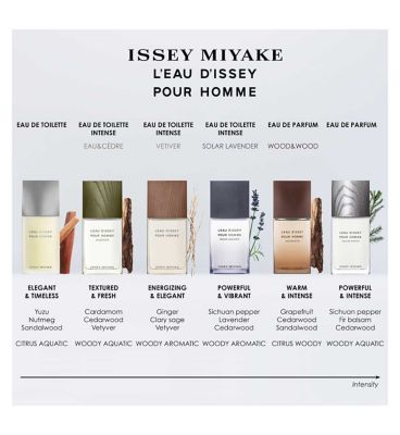 Issey Miyake L’Eau d’Issey Pour Homme Eau de Parfum 125ml (7)