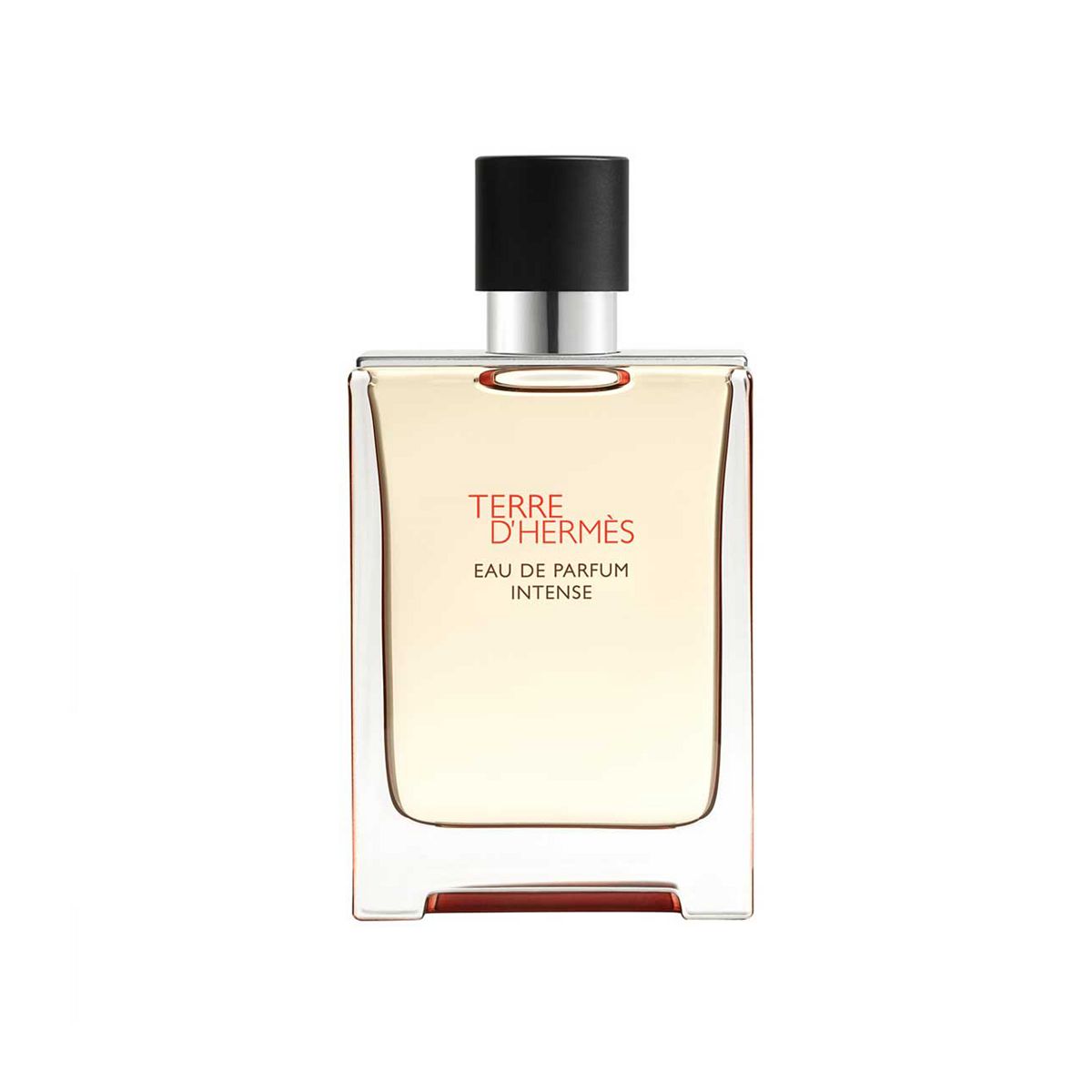 Hermes Terre D'hermès Eau De Parfum Intense 100ml
