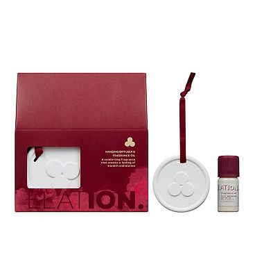 ION ELATION Hanging Diffuser & Fragrance Oil