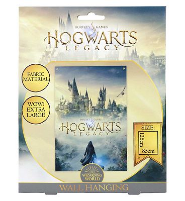Harry Potter Hogwarts Legacy Wall Banner
