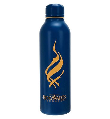 Harry Potter Hogwarts Legacy Steel Bottle - 700ml