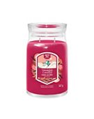 Yankee Candle Signature Large Jar Santa On Skis 567g