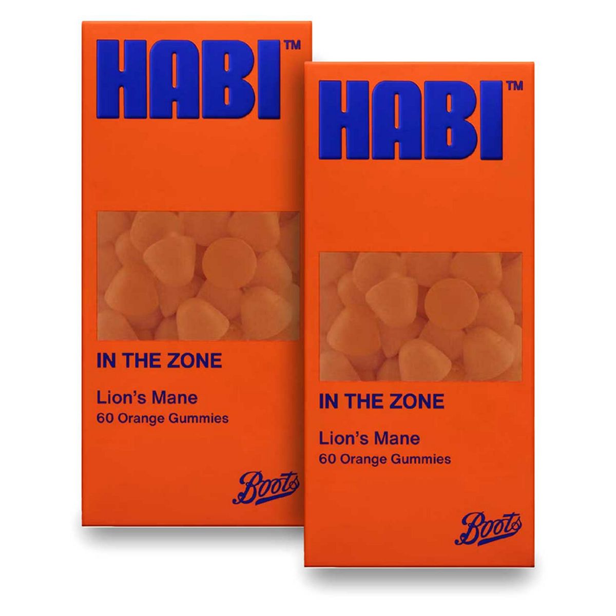 Habi In The Zone Lion's Mane Gummies Bundle