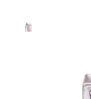 Dolce&Gabbana Pour Femme Eau De Parfum 100ml