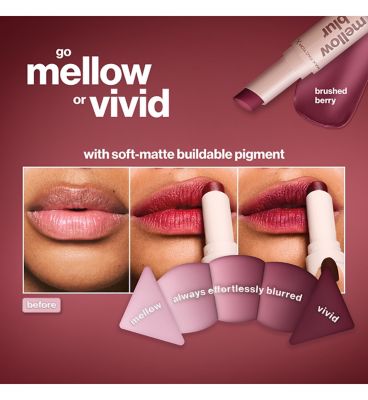 Max Factor Mellow Blur Lipstick (5)