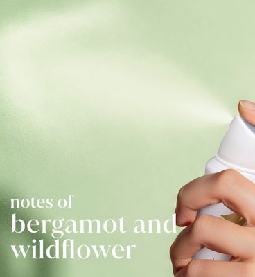 Dove Bridgerton Love & Meadows Anti-Perspirant Aerosol 150ml (5)