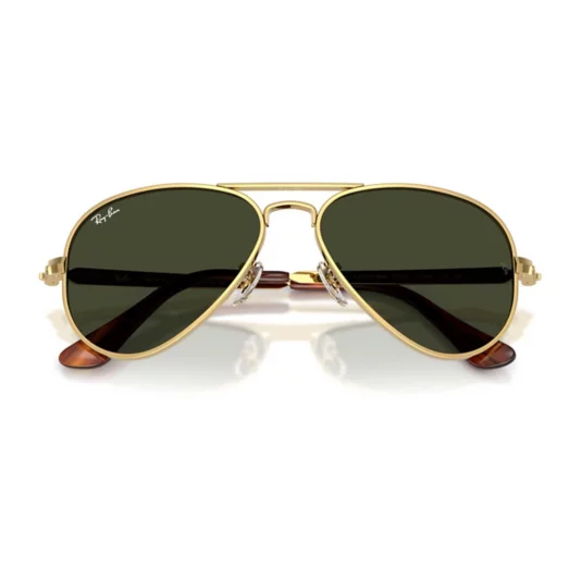 Ray-Ban 0RB3925