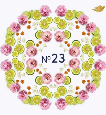 Dove Lily & Green Lime Anti-Perspirant Refill Pack 35ml (2)