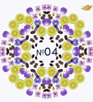 Dove Violet & Tonka Bean Anti-Perspirant Refill Pack 35ml (2)