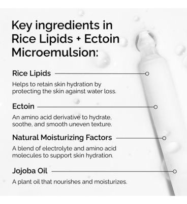 The Ordinary Rice Lipids And Ectoin Microemulsion For Dry And Dehydrated Skin 60ml (8)