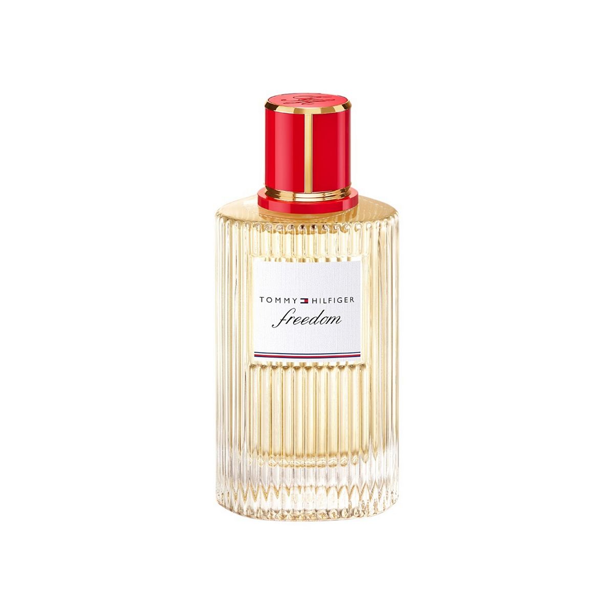 Tommy Hilfiger Freedom Eau De Parfum 100ml Spray