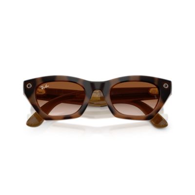 Ray-Ban Meta Zena 0RW4015V 690513